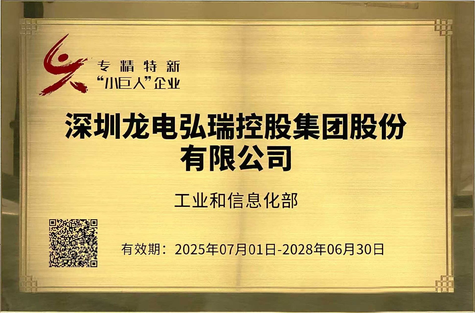 1. 国家专精特新小巨人企业-龙电弘瑞.jpg